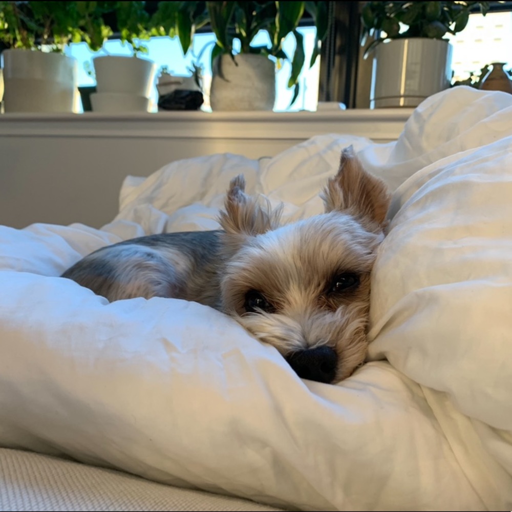 MY LITTLE BABY 🥰 - Picture 3 of 16